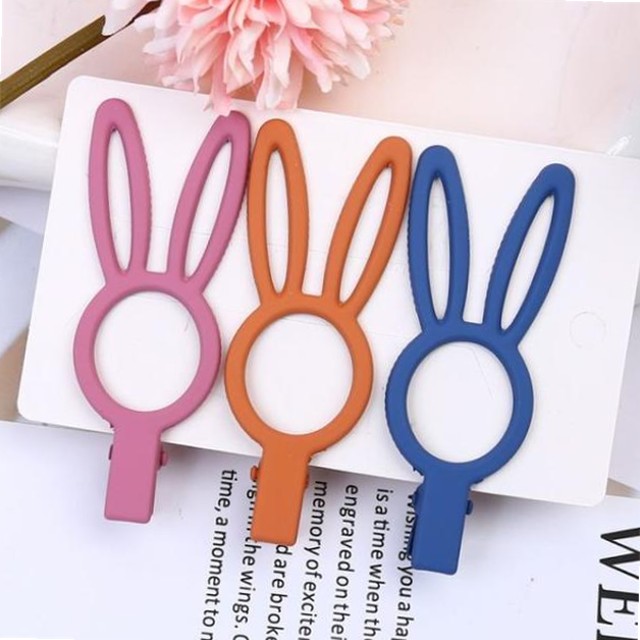 헤어레빗 이미지