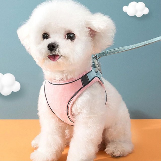 주식회사 산책 이미지
