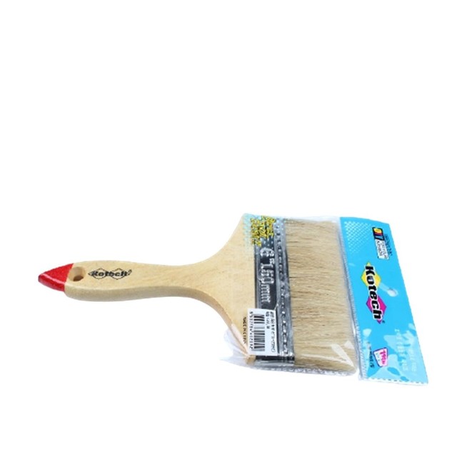 코테스 이미지