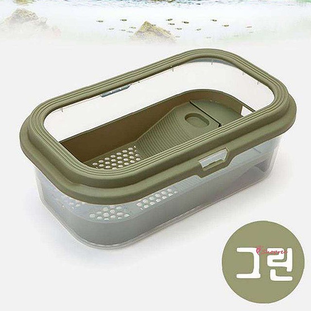 그린터틀 이미지
