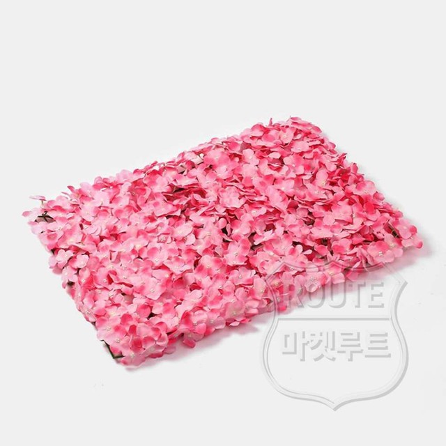 루트플라워 이미지