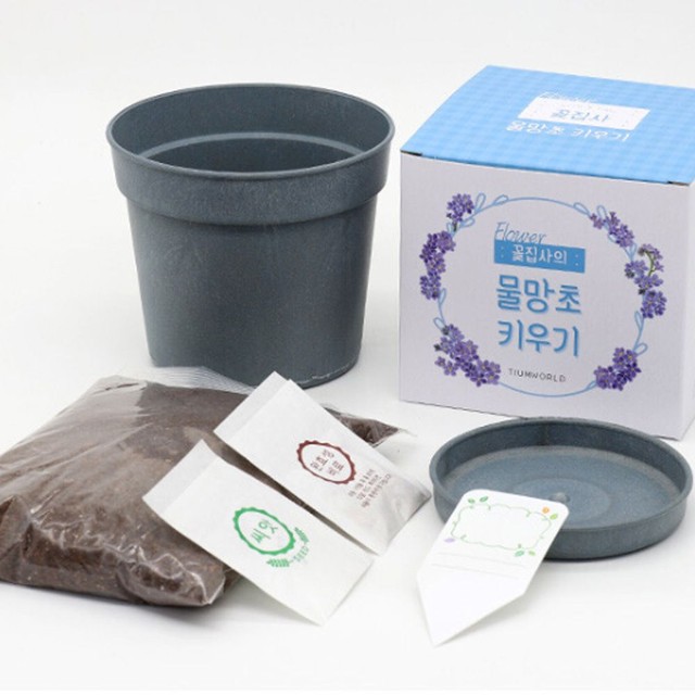 꽃화원 이미지