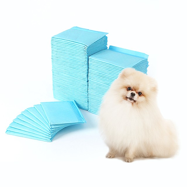클린냥이 이미지