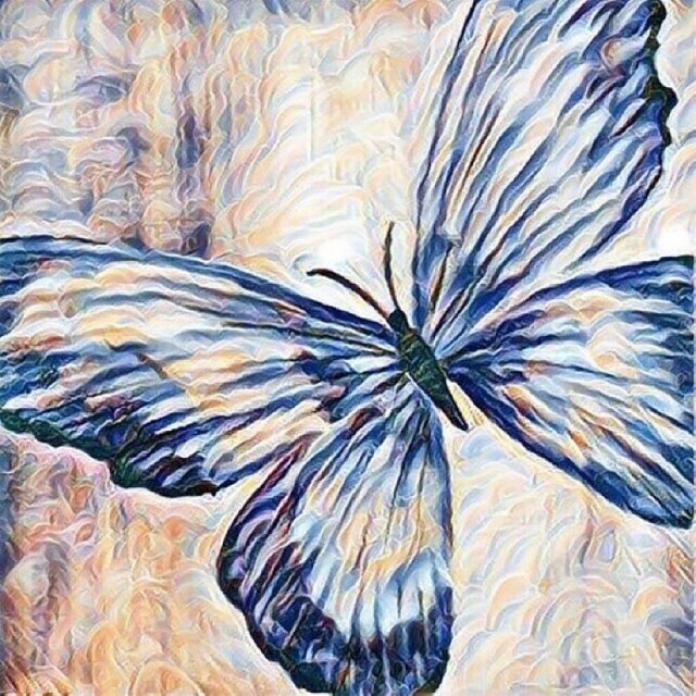 심돈 이미지