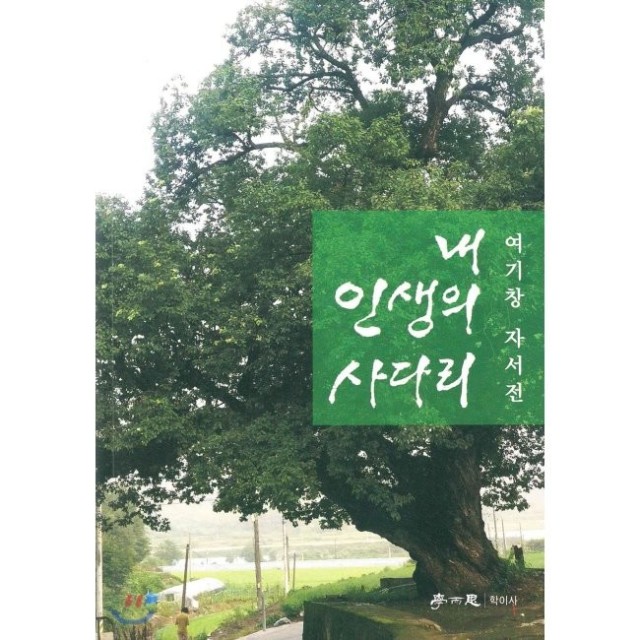 예스사다리 이미지