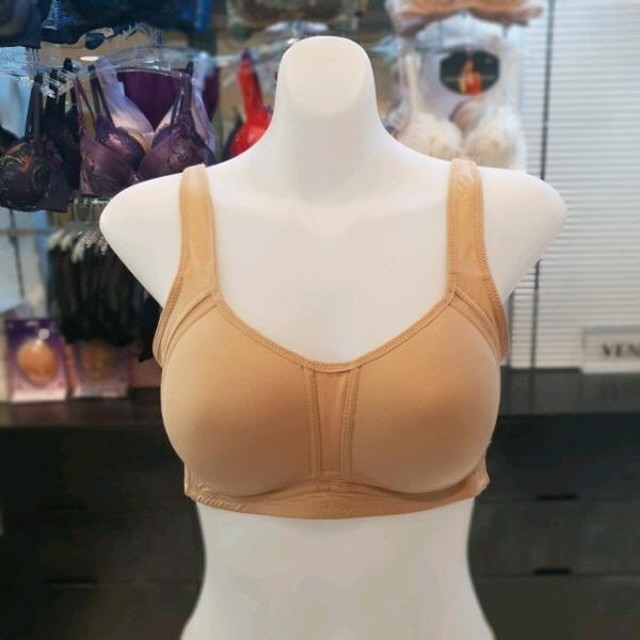 E.F.E 이미지