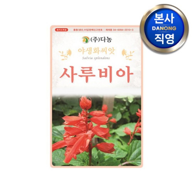샐비아 이미지