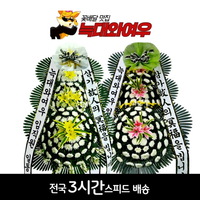 완주꽃배달써비스 이미지