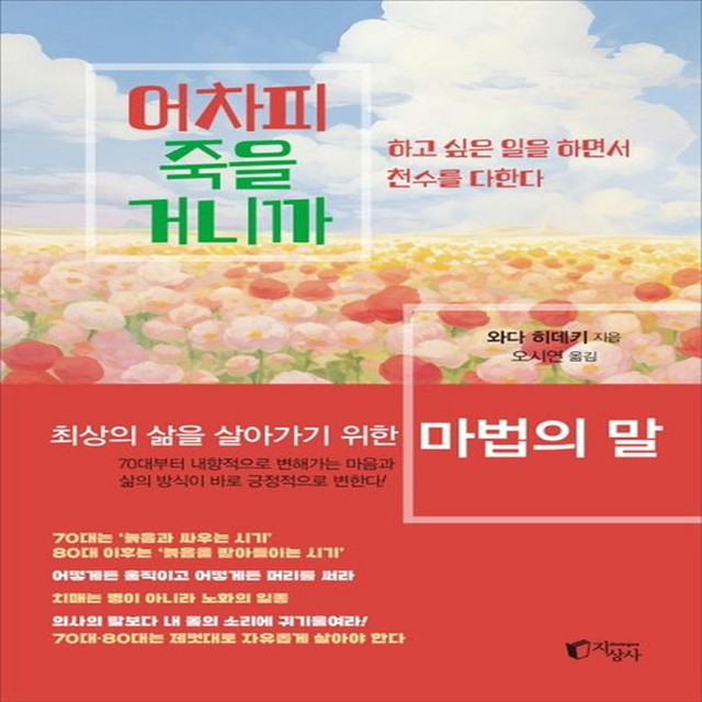 와다 이미지