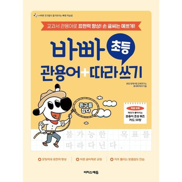이지스 이미지