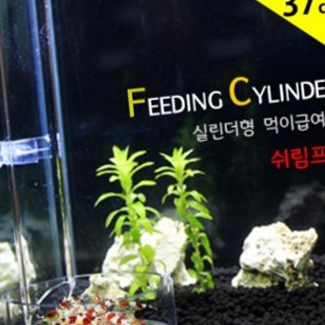 위더스 이미지