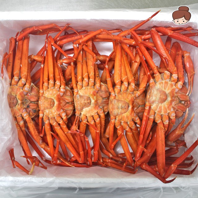 북방3 이미지