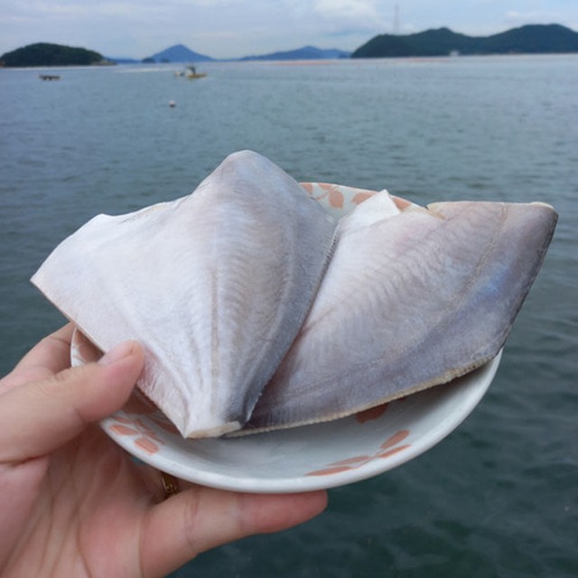 싱싱냉동 이미지