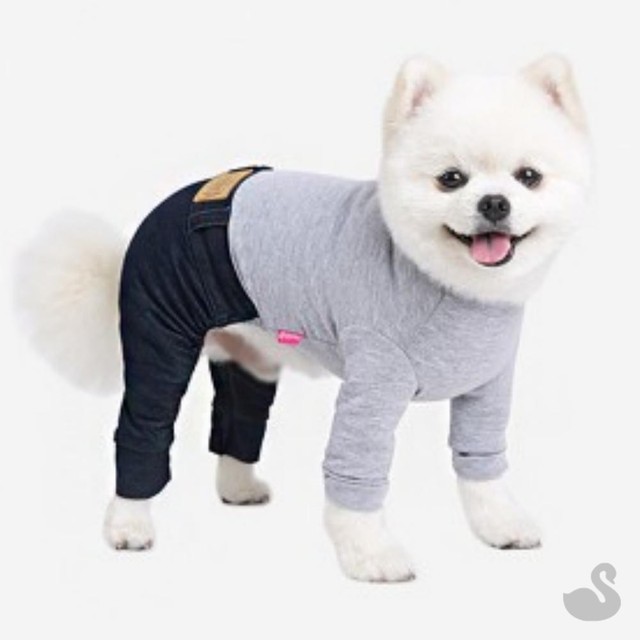그레이몰 이미지