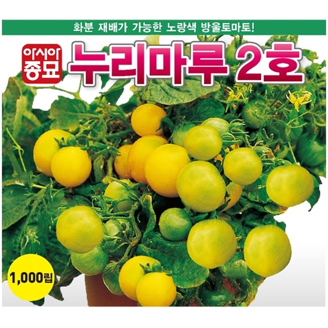 토마토누리 이미지