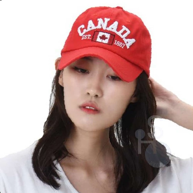 일안 이미지