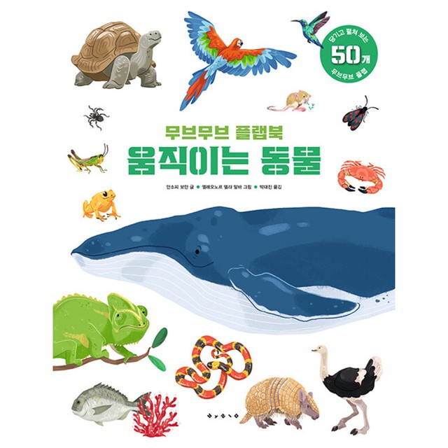 보림 이미지