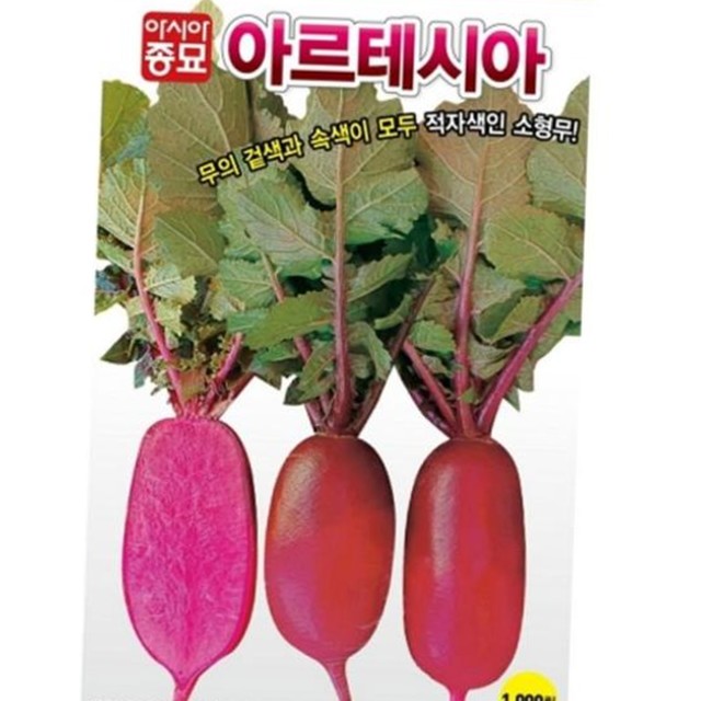 샐러립 이미지