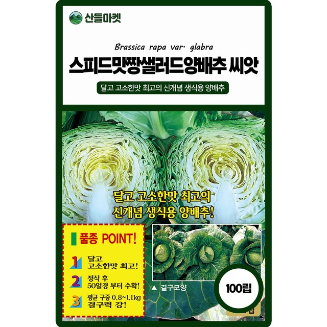 주식회사 샐러드 이미지