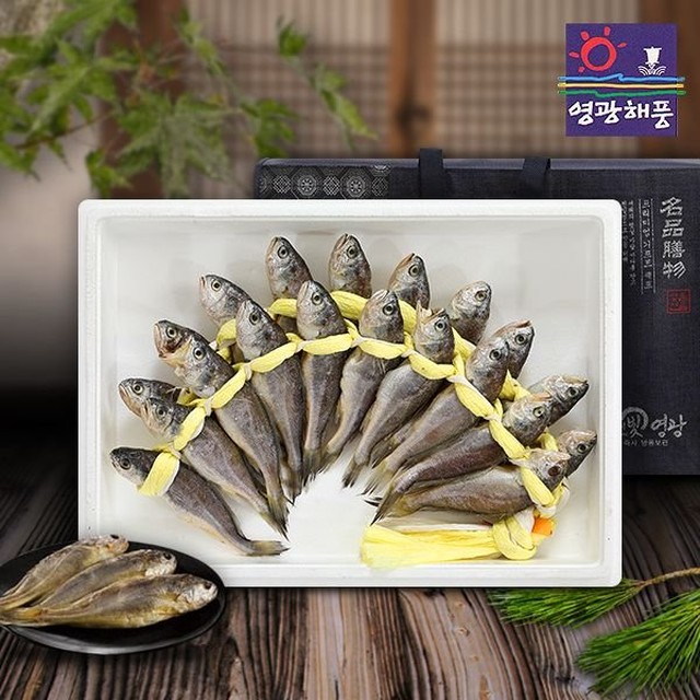 영광 이미지