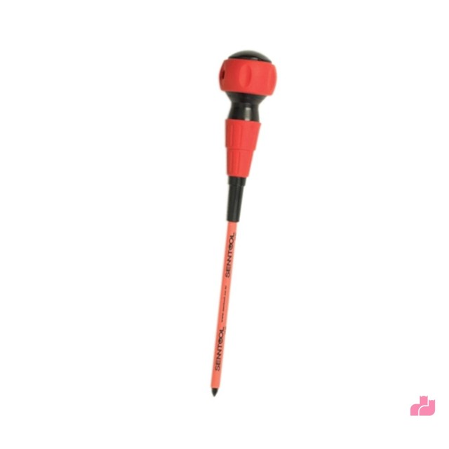 다이아나 이미지