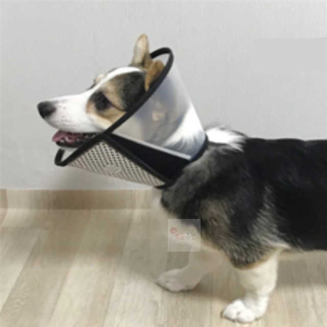 뽀송 이미지