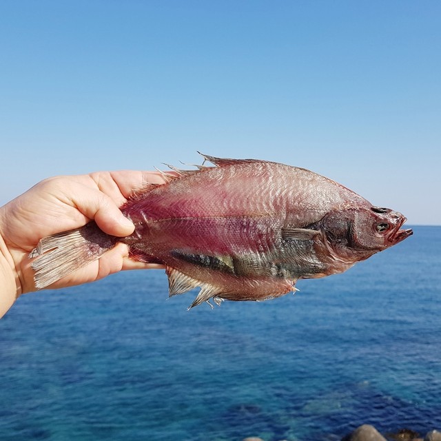 지삼유통 이미지
