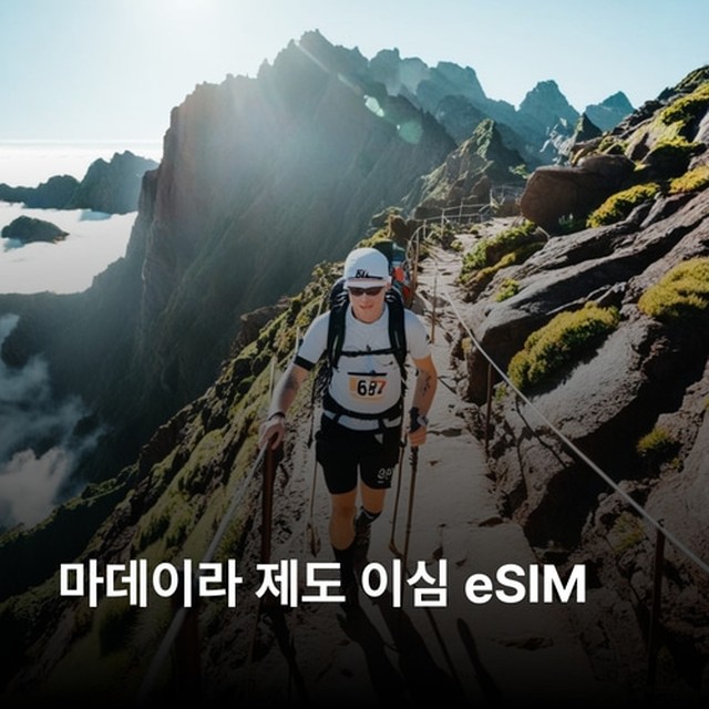 (주)뜨거운청춘 이미지