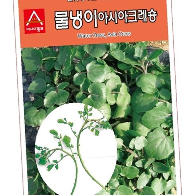 크레숑 이미지