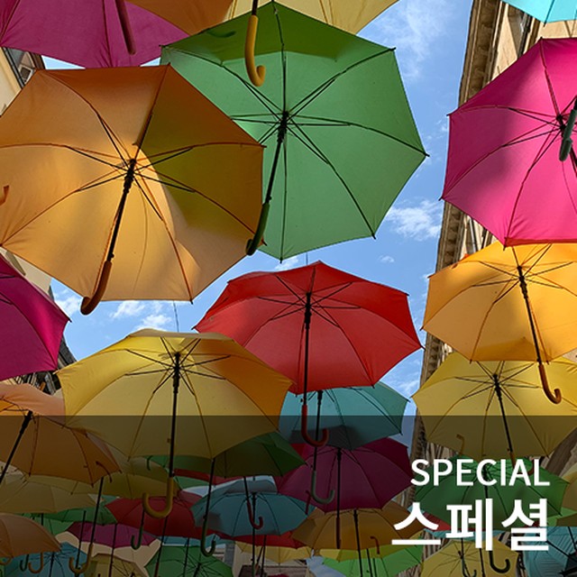 엠씨알 컴퍼니 이미지