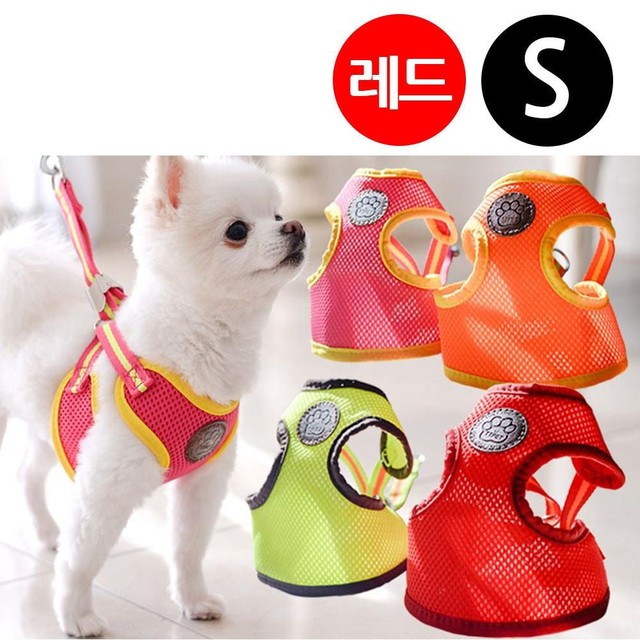 티티스마일 이미지