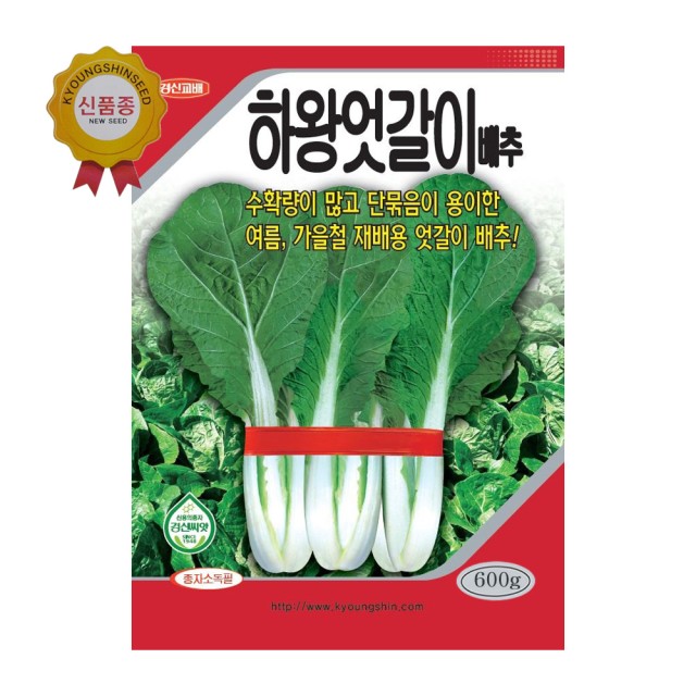 하왕 이미지