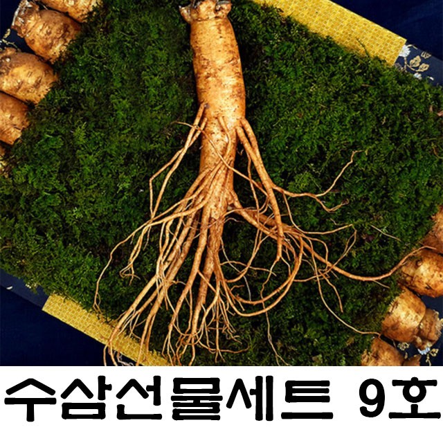 주)한국산삼공사 이미지