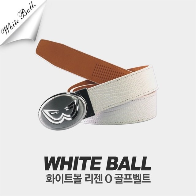 디지지에스 이미지