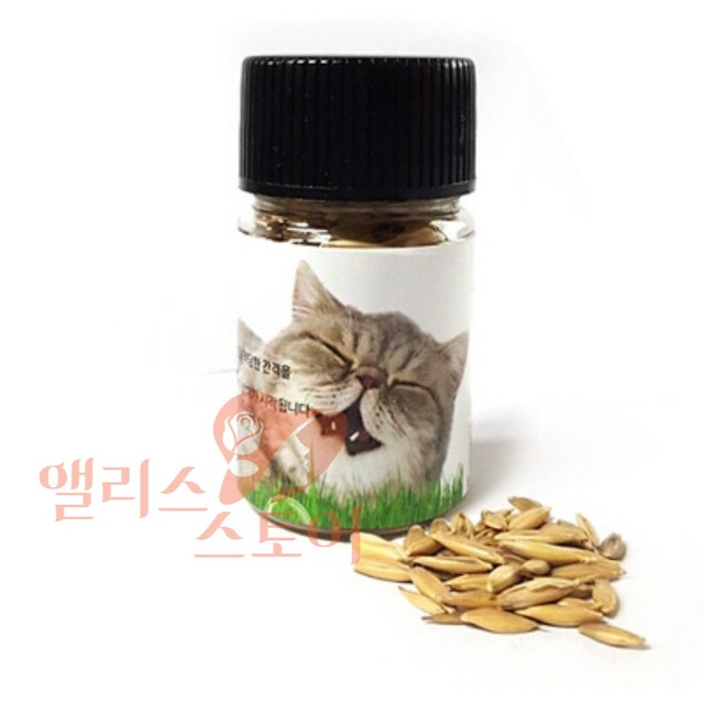 보리헤어 이미지