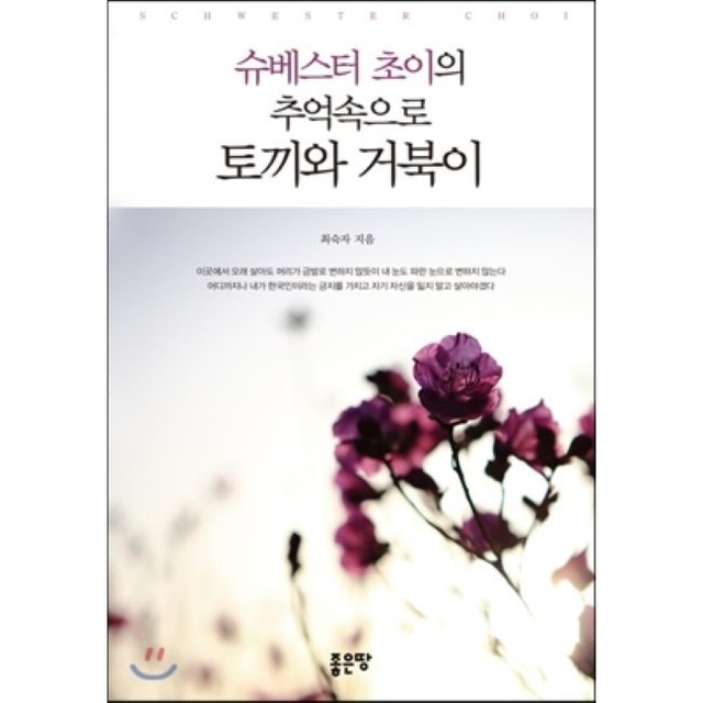 슈베스터 이미지