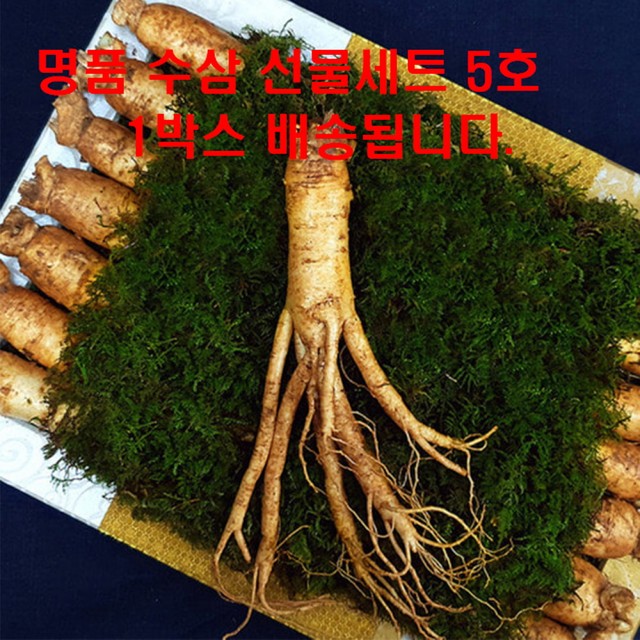 주)한국산삼공사 이미지