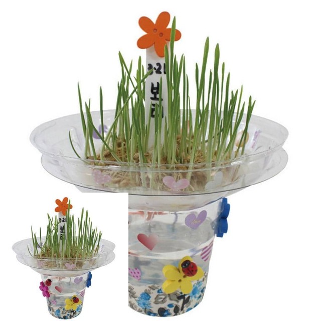 새싹상회 이미지