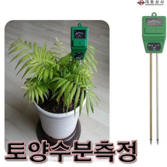 대동원예 이미지