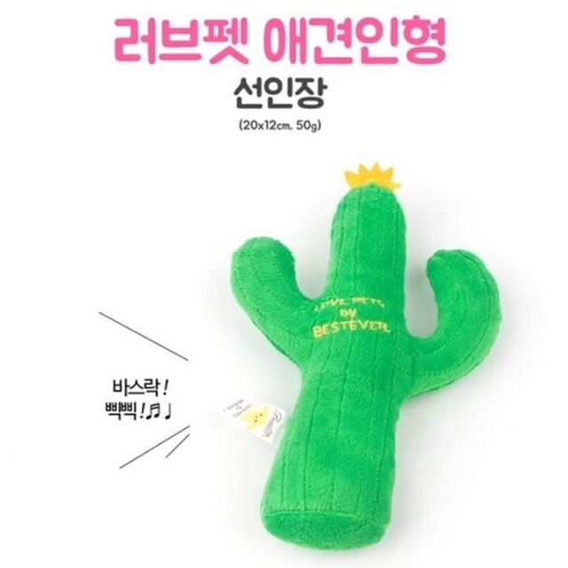 애완선인장 이미지