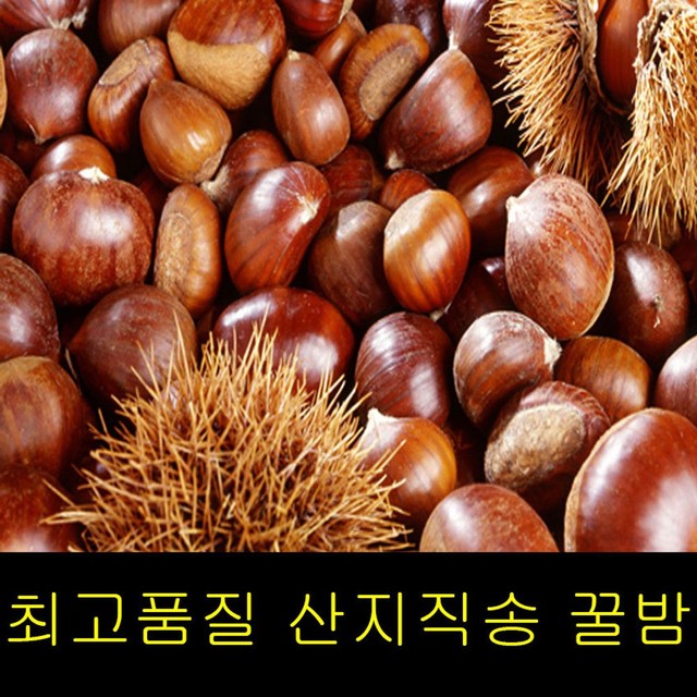 고씨네 이미지