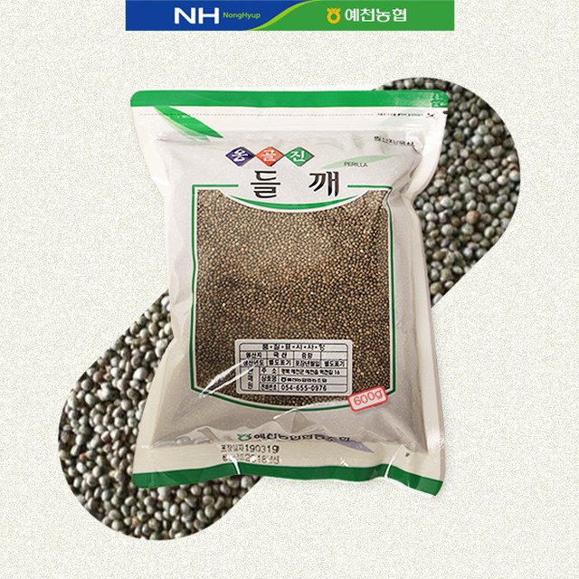 옹골진 이미지
