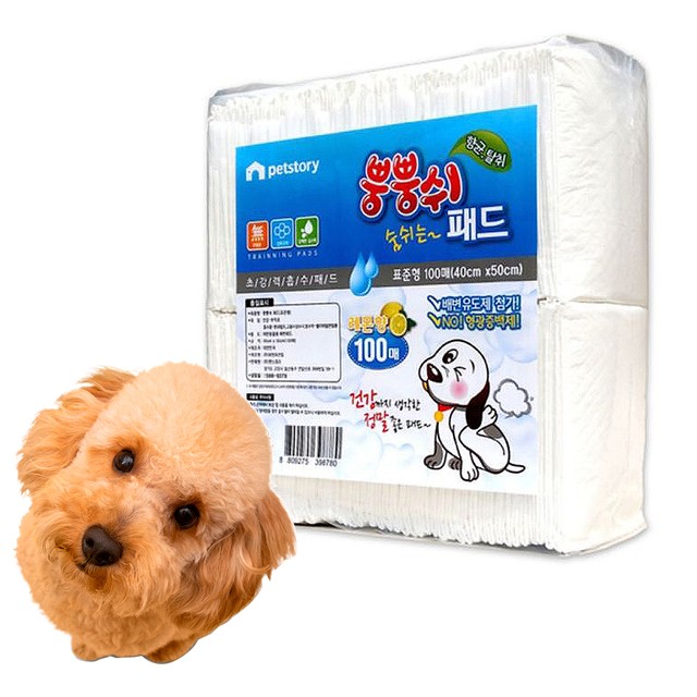 쉬스토리 이미지