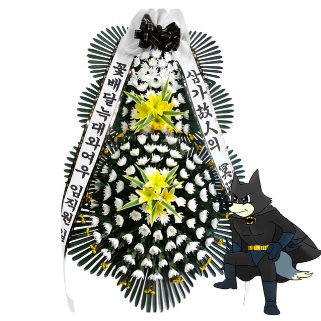 여천전남병원 이미지