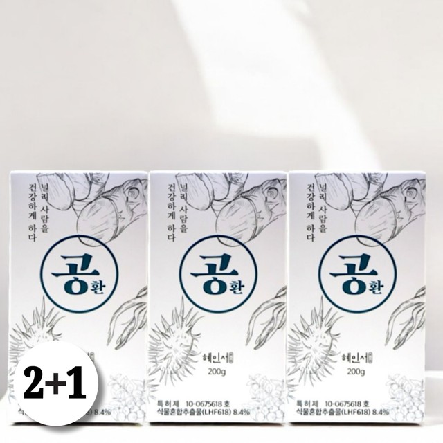 공21 이미지