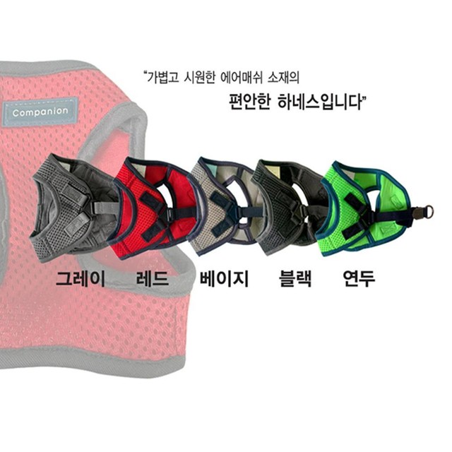 컴패니언 이미지