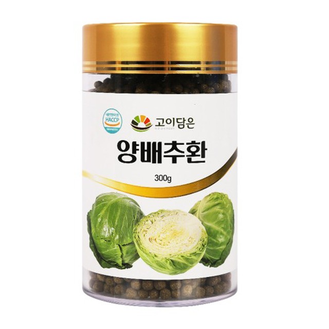 고이 이미지