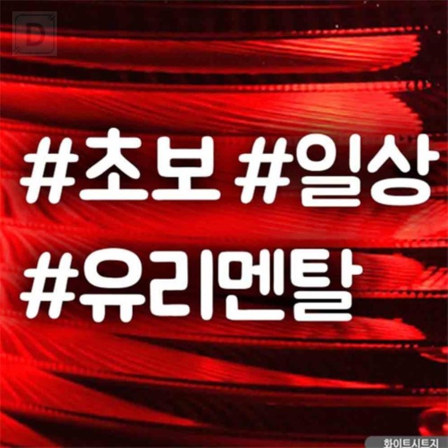 대성자동차유리 이미지
