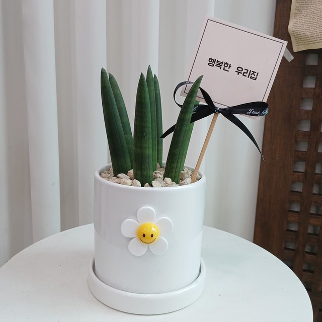 고미플라워 이미지