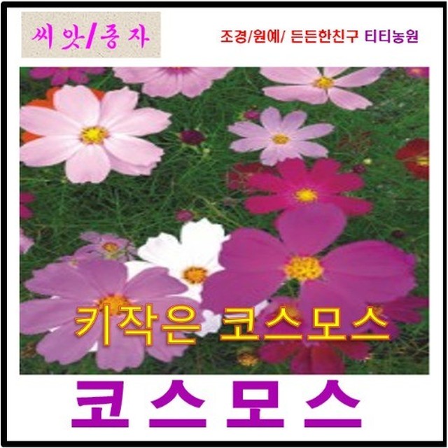 JY기획 이미지
